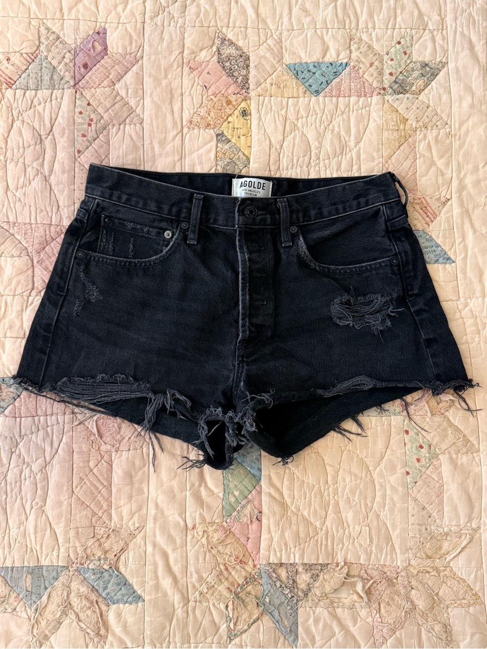 AGOLDE Parker Vintage Cut Off Shorts | 28 | Black High Rise Button Fly